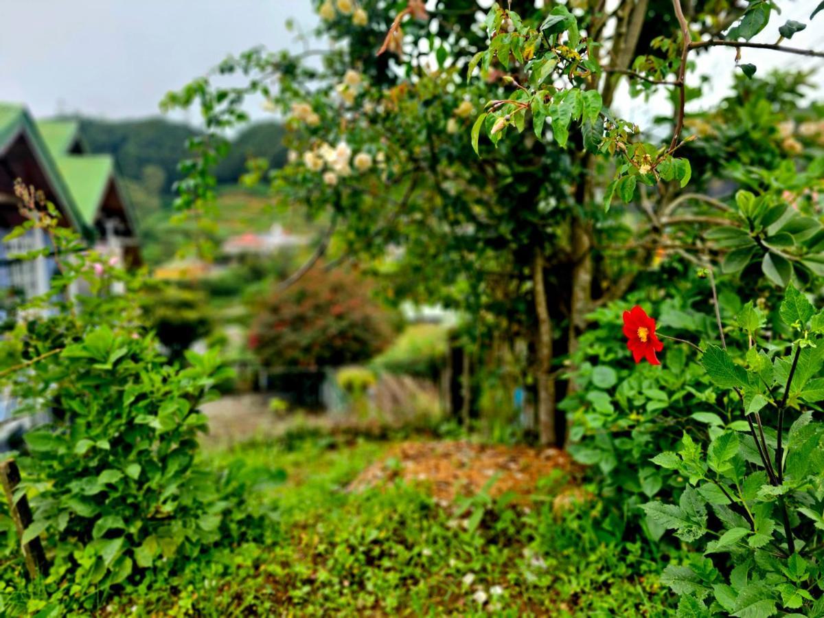 Haven Chalet นูวาราเอลิยา ภายนอก รูปภาพ